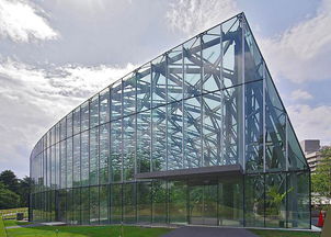 從番茄工廠化生產解析荷蘭溫室優質高產的原因