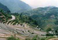 六安糧油基地項目建筑工程勞務資金申請報告